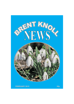 FEBRUARY 2015 35p - Brent Knoll Village Website