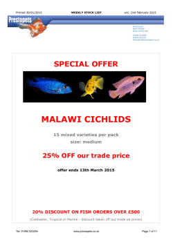special offer malawi cichlids