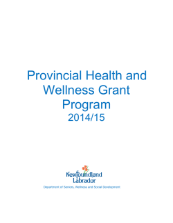 Provincial Health and Wellness Grant Program