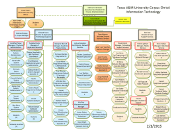 Information Technology Organizational Chart - IT Services