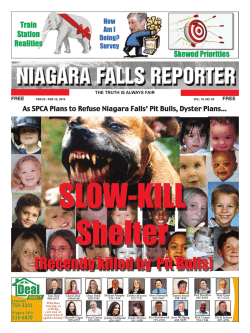 to read the Niagara Falls Reporter, Feb 03 edition, exactly as it