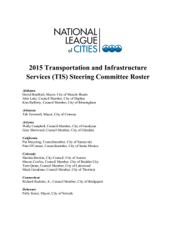 Steering Committee
