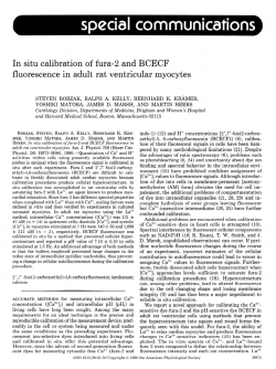 In situ calibration of fura- and BCECF fluorescence in adult