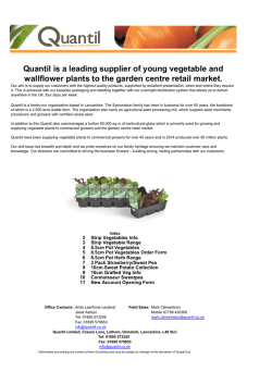 Quantil is a leading supplier of young vegetable and wallflower