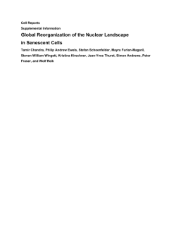 Global Reorganization of the Nuclear Landscape in Senescent Cells