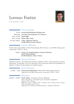 Lorenzo Fantini - Centre de mathématiques Laurent Schwartz