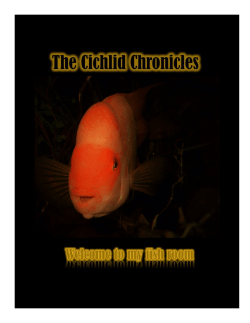 The January issue of The Cichlid Chronicles