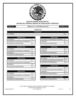 4 - Tribunal Federal de Conciliaci&oacute;n y Arbitraje