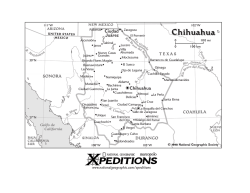 Chihuahua - National Geographic