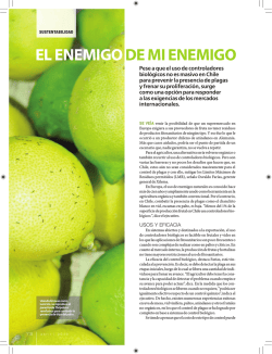 Descargar