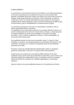 CARNE BARROSA copia