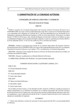 CONSTRUCCI&Oacute;N DE LAS PALMAS