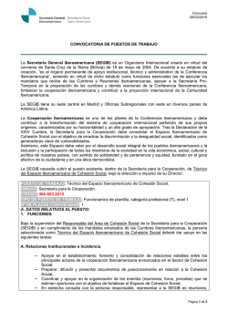 T&eacute;cnico del Espacio Iberoamericano de Cohesi&oacute;n Social (003)