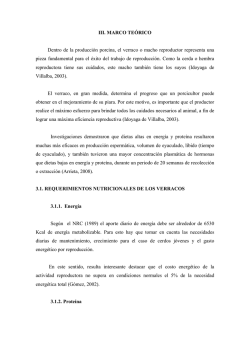 III. MARCO TE&Oacute;RICO Dentro de la producci&oacute;n