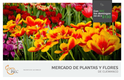 MERCADO DE PLANTAS Y FLORES