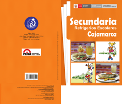 CARATULA SECUNDARIA - Instituto Nacional de Salud
