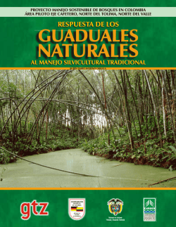 Carder CARTILLA PORTADA