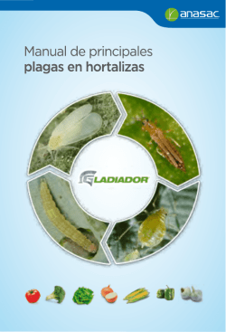 Descargar