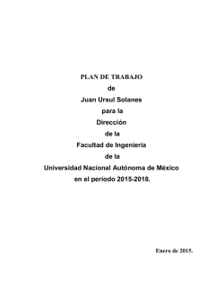 Plan de trabajo en extenso