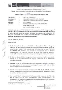 "Decenio de las Personas con Discapacidad en el Perú