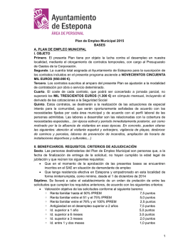Bases Plan Empleo Municipal 2015