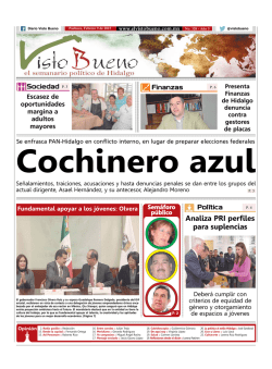 Descargar PDF - El Visto Bueno