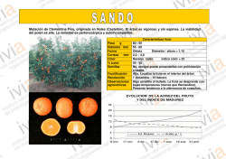sando - IVIA