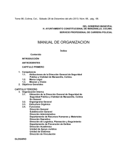MANUAL DE ORGANIZACION