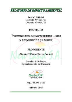 PROYECTO PROPONENTE