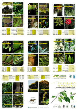 CALENDARIO FENOLOGICO - Fundaci&oacute;n Horizonte Verde