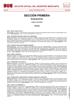 pdf (borme-a-2015-29-17 - 170 kb )
