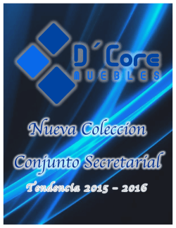 Nueva Coleccion Conjunto Secretarial