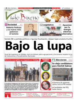 Descargar PDF - El Visto Bueno