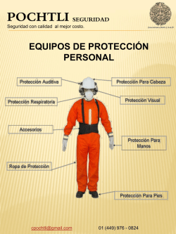 pochtli seguridad