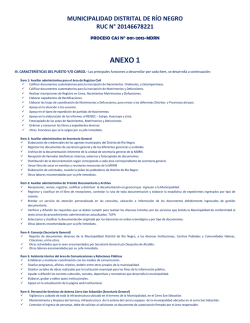 ANEXO 1 - Municipalidad Distrital de R&iacute;o Negro
