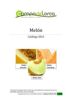 Catálogo melón 2015