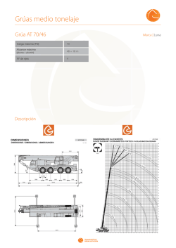 Luna Grúa AT 70/46 70 64,00m.