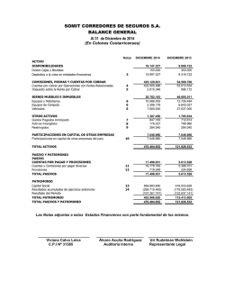 somit corredores de seguros sa balance general
