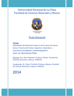 Documento completo - SeDiCI - Universidad Nacional de La Plata