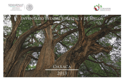 consideraciones de los inventarios forestales