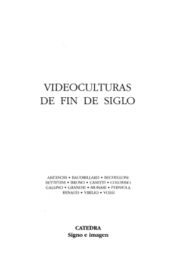 VIDEOCULTURAS DE FIN DE SIGLO - No-IP