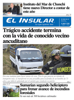 Alerta Roja en Castro y Dalcahue por violentos incendios forestales