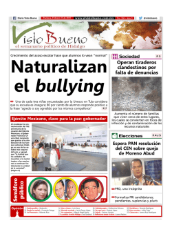 Descargar PDF - El Visto Bueno