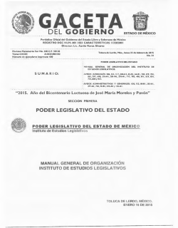 Manual General de Organizaci&oacute;n del Instituto de Estudios