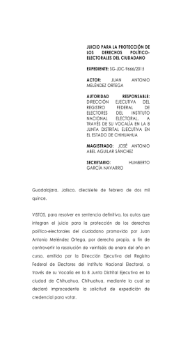 sg-jdc-9666/2015 actor - Tribunal Electoral del Poder Judicial de la