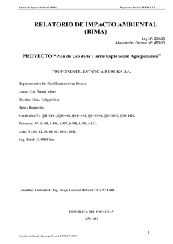 RELATORIO DE IMPACTO AMBIENTAL (RIMA)