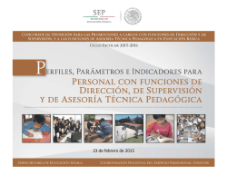 Perfil, Parametros e Indicadores para la Promoción a funciones de