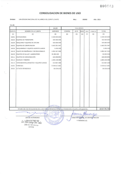 FC4 Movimiento de Bienes de Uso y FC5 Consolidación de