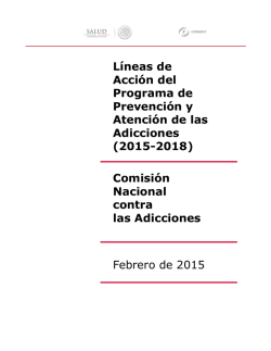 Líneas de Acción del Programa de Prevención y Atención de las