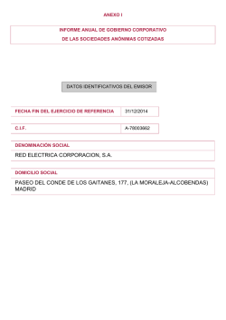 Informe anual de gobierno corporativo de las sociedades anónimas